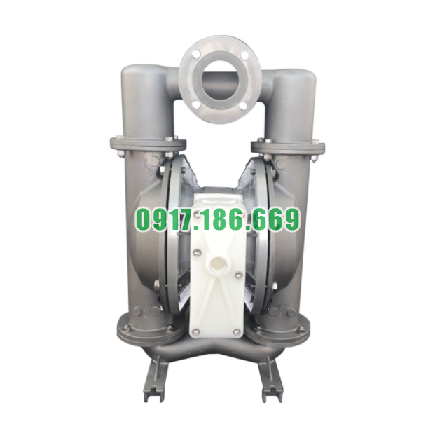 Bơm Màng Đôi Khí Nén Inox NOMAD NPF80 3