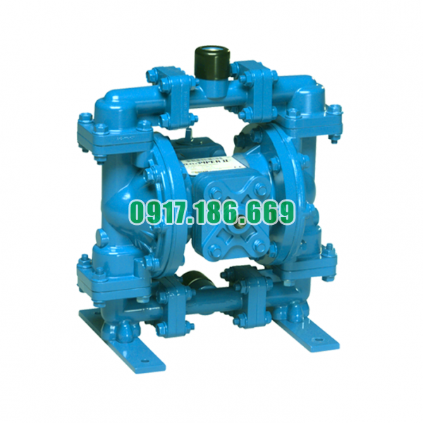 Bơm màng khí nén Marathon M05B1ABWABS 100