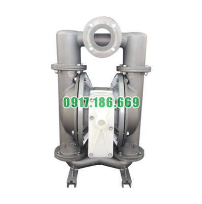 Bơm Màng Đôi Khí Nén Inox NOMAD NPF80 3