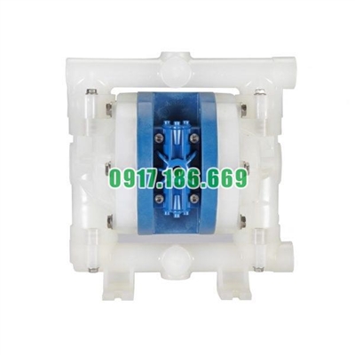 Bơm màng khí nén FTI FT05-P-PP-RRPR-B1