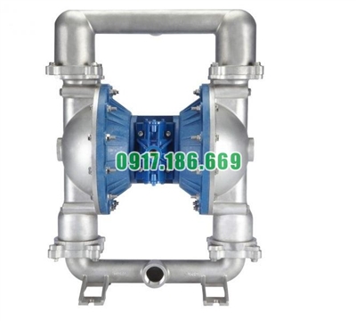 Bơm màng khí nén FTI FT15S‐AA‐1TST-B1
