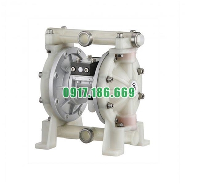 Bơm màng khí nén TDS DS04-PAT-TPTP-02