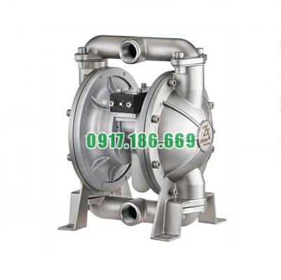 Bơm màng khí nén TDS DS10-SAT-TSTS-02