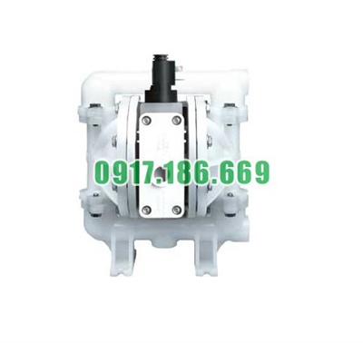Bơm màng khí nén Wilden A100P/PPPPP/FWS/WF/PWF/0150