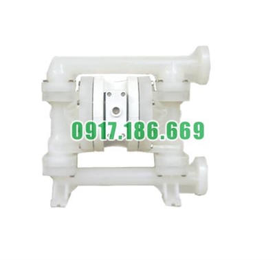 Bơm màng khí nén Wilden P200/PKPPP/TNU/TF/PTV