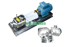 Bơm trục vít đôi FSL-10-40 inox 304 tốc độ 1480 vòng/phút lưu lượng 10 tấn/giờ