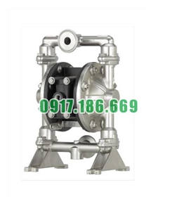 Bơm màng khí nén ARO PM05R-CSS-STT-B02