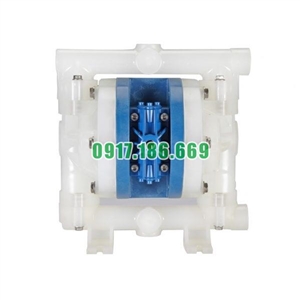 Bơm màng khí nén FTI FT05-P-PP-2TPT-B1