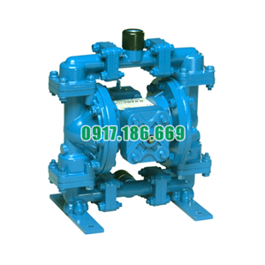 Bơm màng khí nén Marathon M05B1ABWABS 100